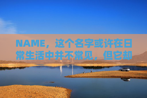 NAME，这个名字或许在日常生活中并不常见，但它却在某些领域里扮演着重要的角色。今天，让我们一起来探索这个名字背后的故事和意义